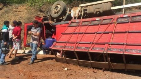Caminhão boiadeiro tomba e mata 8 animais