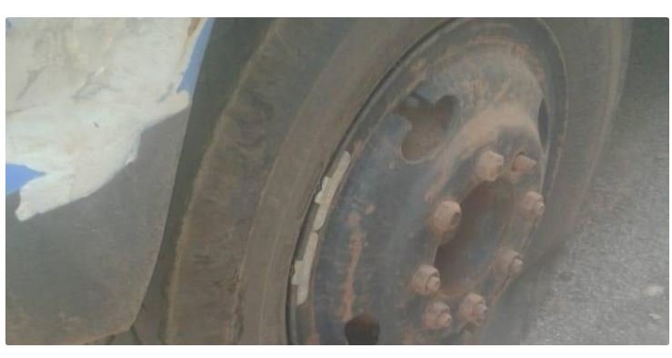 Irmãos são presos por furto e venda de gado em fazenda de MT
