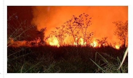 FOGO MT começa período proibitivo de queimadas