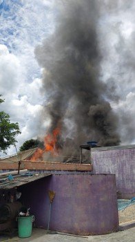 Panela de pressão pode ser origem de incêndio que deixou uma casa totalmente destruída