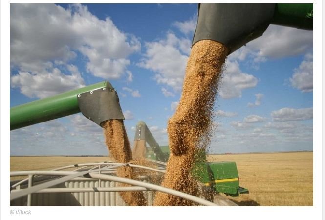 Brasil será maior exportador de grãos do mundo em cinco anos