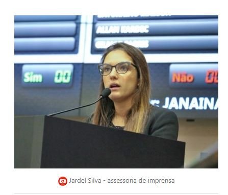 Assembleia aprova lei que obriga identificação e controle populacional de cães e gatos