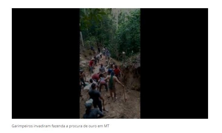 Mais de 400 garimpeiros invadem fazenda em busca de ouro em MT