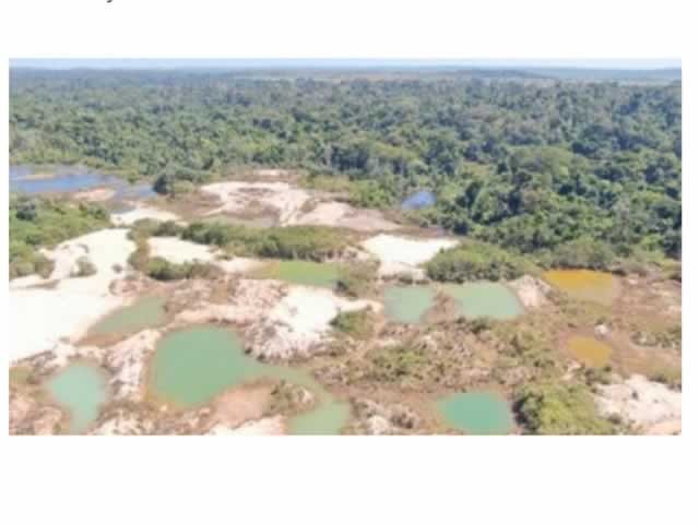 Malária volta matar em MT