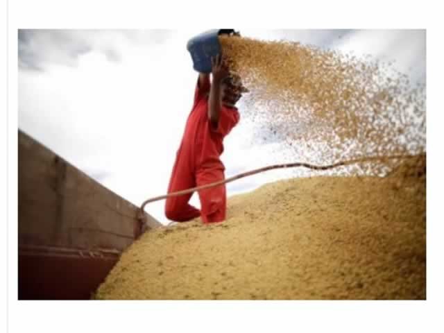 China aumenta importação de soja dos EUA em 320% e reduz do Brasil