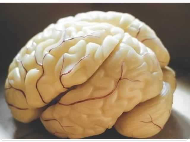 Nova droga promove "limpeza" no cérebro e protege do Alzheimer; entenda