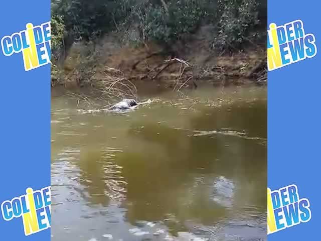 Idoso de 64 anos desaparecido em Marcelândia e encontrado morto em rio.