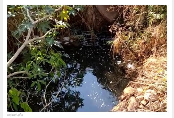 MP pede R$ 8,7 mi de empresas por lançarem esgoto em córrego de Mato Grosso