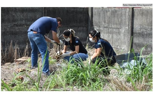 Ossada humana é encontrada em terreno baldio por populares