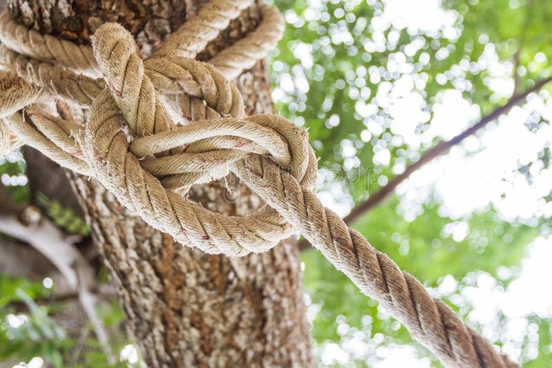 Homem de 33 anos enforcou-se na zona rural de Colíder.