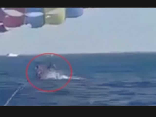 Tubarão salta do mar e morde perna de homem em paraquedas