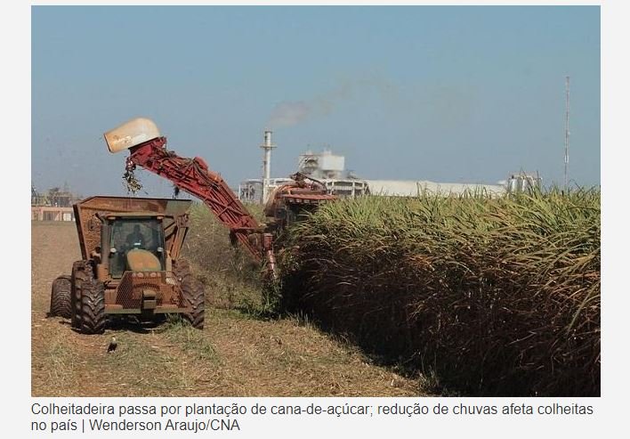 Escassez de chuva prejudica produção agrícola e pode aumentar preços