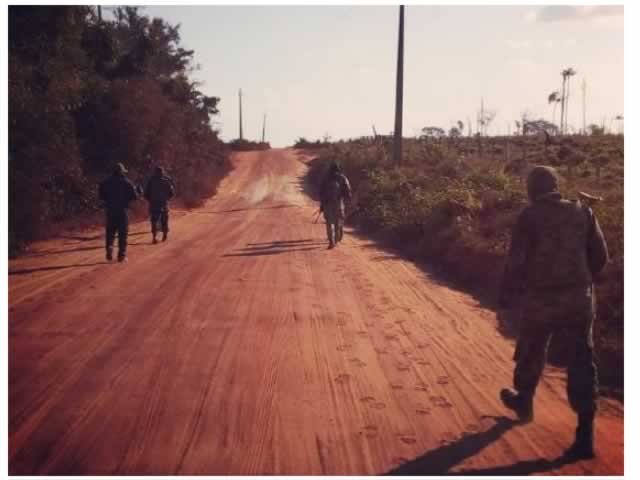 Forças de segurança continuam buscas por integrantes do Novo Cangaço em mata. (Fotos)
