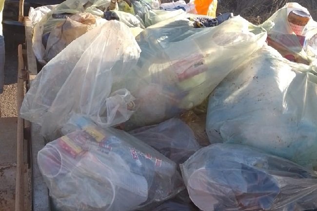 Após sujarem a Rodovia do Vale em festa no sábado, jovens voltam ao local e limpam a estrada.