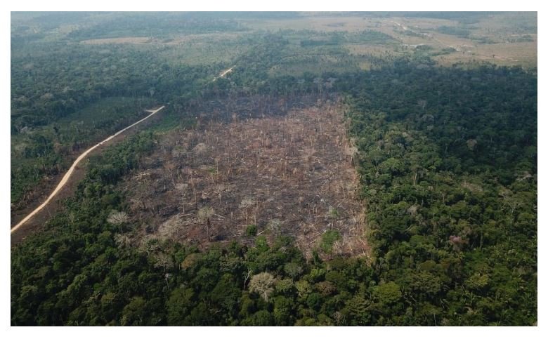 Forças Armadas atuarão em Paranaíta, Apiacás, Nova Bandeirantes e mais 23 municípios para coibir desmatamento