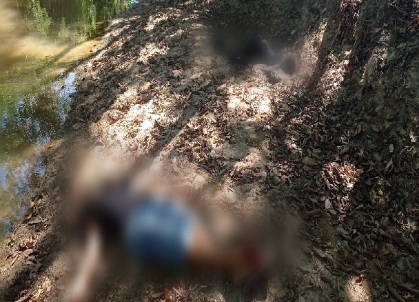 Populares encontram 2 corpos em decomposição no meio de matagal