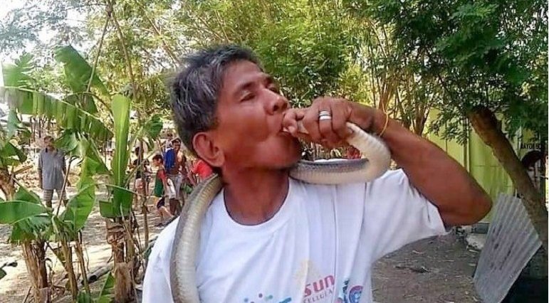 Homem que se dizia imune a veneno de cobra morre após picada