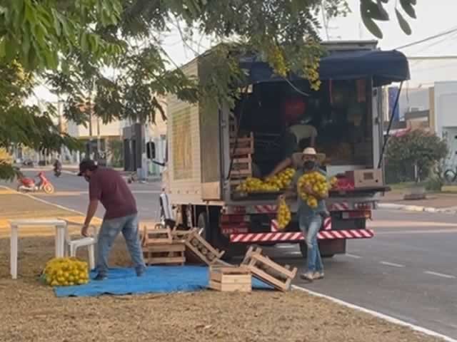 Colidenses enfrentam à crise indo para os canteiros. (Vídeos)
