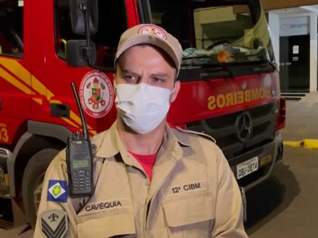 Mulher em Colíder é detida por crime ambiental próximo da MT-320. (Vídeo)