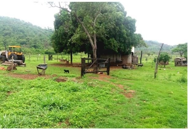 HOMICÍDIO Produtor rural é executado com cinco tiros quando ordenhava vacas