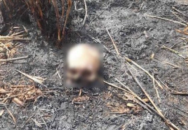 Trabalhador encontra crânio humano