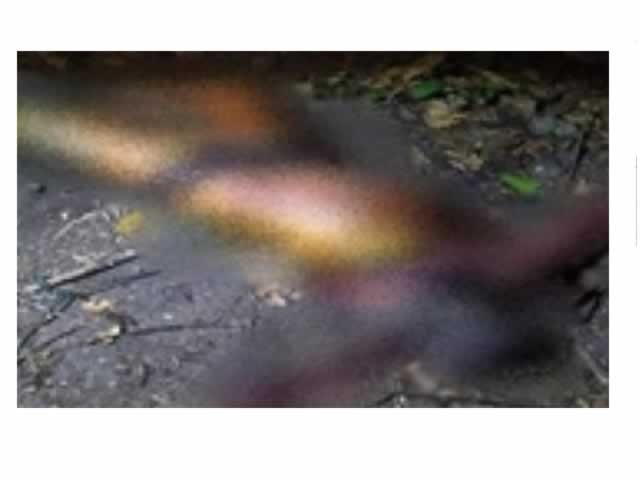 Trabalhadores encontram cadáver; suspeita é que seja de estuprador