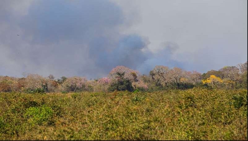 Fogo volta a ameaçar o Pantanal mato-grossense