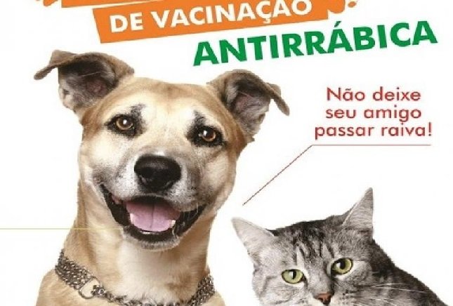 VACINAÇÃO ANTIRRÁBICA 2021 SERÁ INICIADA NA ZONA RURAL DE COLÍDER
