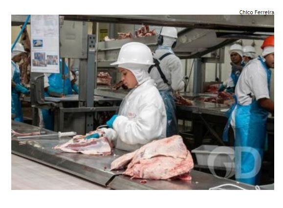 Por falta de gado, sindicato alerta para fechamento de frigoríficos em Mato Grosso