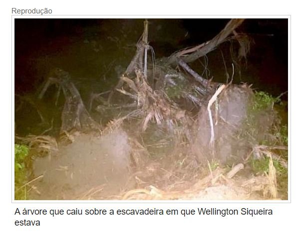 Árvore cai sobre escavadeira e mata operador no interior de MT