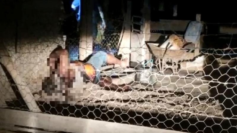 Vizinho encontra idoso morto em chiqueiro de chácara