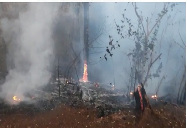 Prefeita de MT decreta situação de emergência por causa da seca e incêndios florestais