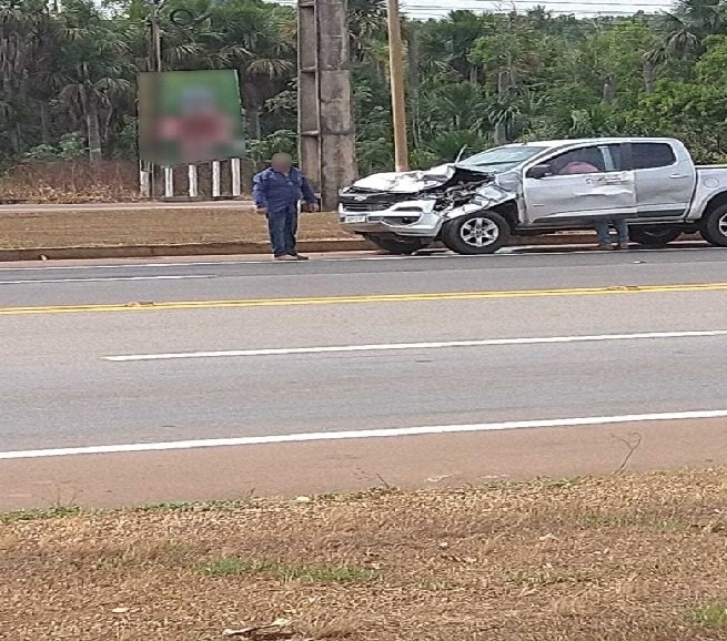 Caminhonete atropela e mata boi na BR 163