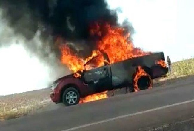 Ranger pega fogo e 150 aves morrem queimadas em rodovia