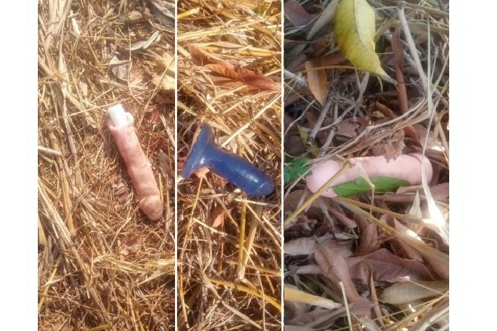 Pênis de borracha são jogados em mato e populares levam alguns para casa