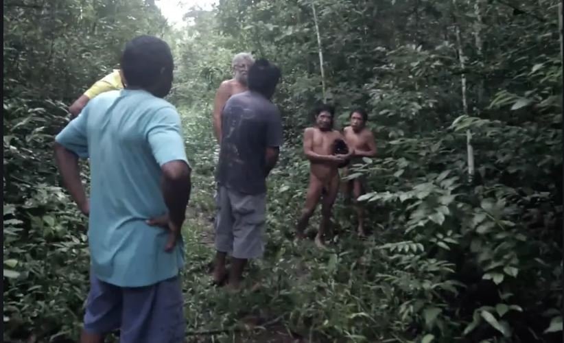 Garimpeiros cercam os últimos Piripkura, indígenas que vivem isolados em MT