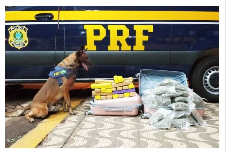 Jovem é flagrado transportando maconha e skunk em ônibus de viagem e acaba preso