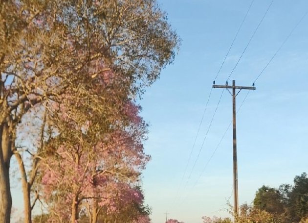Produtores rurais que recebem desconto da Tarifa Rural devem renovar o cadastro na Energisa
