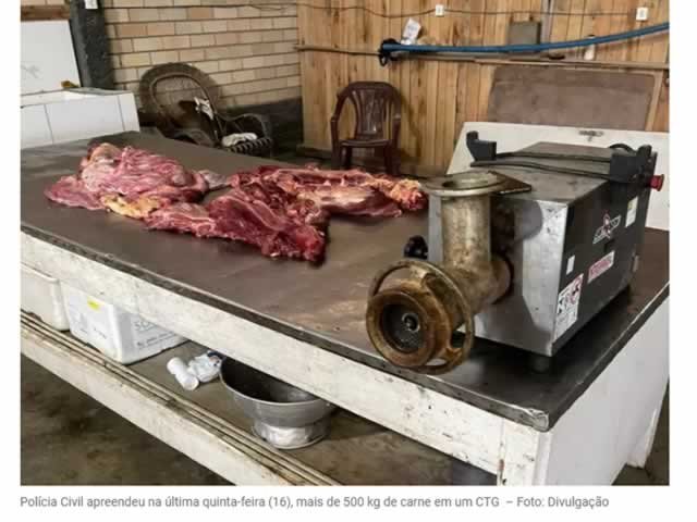 Delegado explica imagens chocantes de carne de cachorro que teriam sido achadas em SC