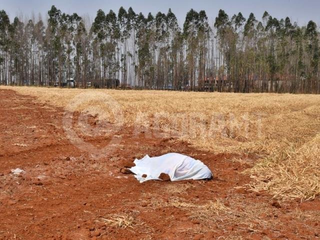 Corpo é encontrado em área de plantação na BR-163