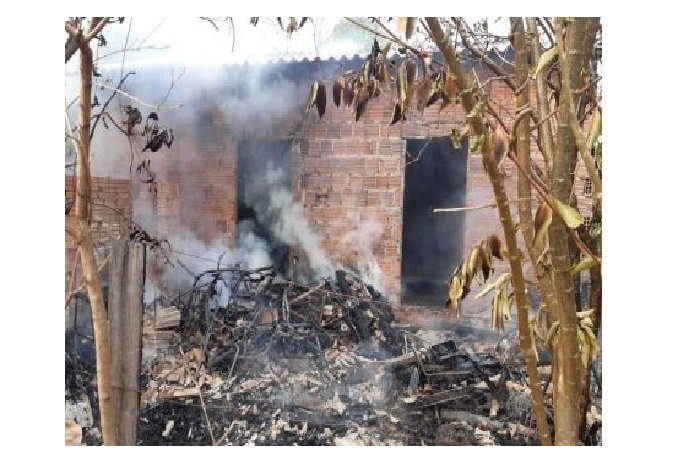 Homem usa fogo para espantar abelhas e acaba incendiando a casa