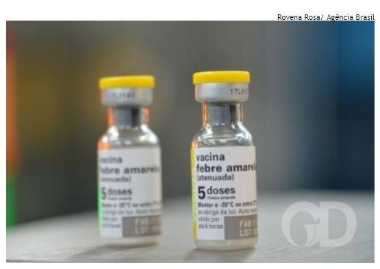 Saúde alerta sobre risco de epidemia de febre amarela
