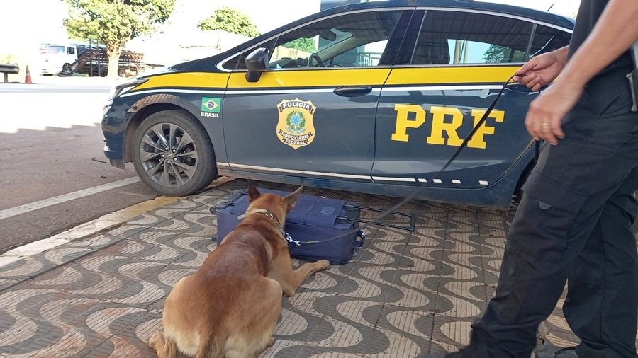 Em ação conjunta, PRF e PF apreendem cocaína transportada em bagageiro de ônibus
