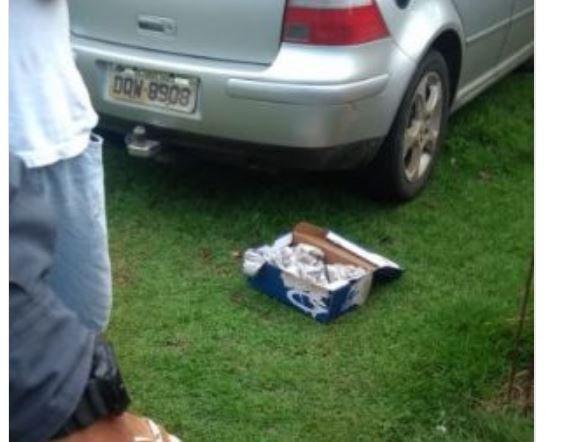 Bebê é encontrado em uma caixa de papelão cheia de formigas em Cuiabá