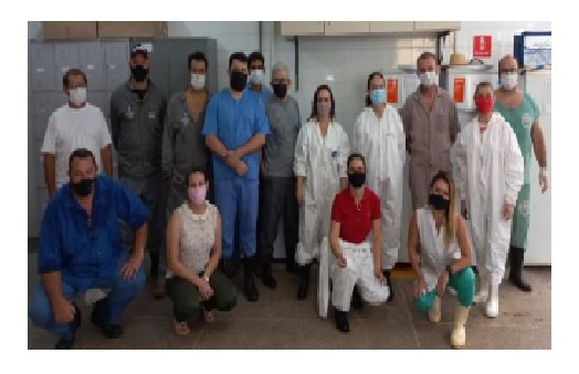 Indea capacita médicos veterinários em diagnóstico de síndromes hemorrágicas de suínos