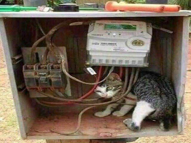 Fazendeiro faz gato na energia; Energisa descobre e fazendeiro diz que ninguém vai mais desligar energia