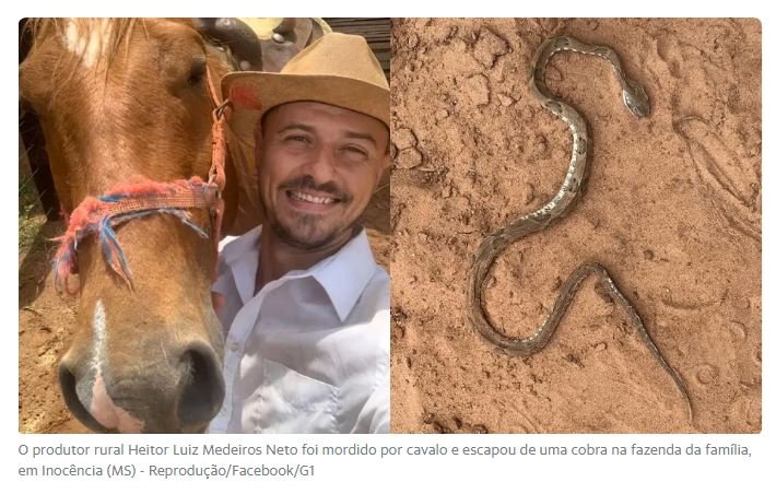 Em questão de minutos, homem leva mordida de cavalo e pisa em cobra