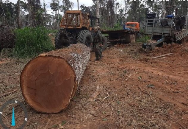 Operação Amazônia apreende máquinas e aplica R$ 5,1 milhões em multas em Alta Floresta, Apiacás e mais 2 municípios