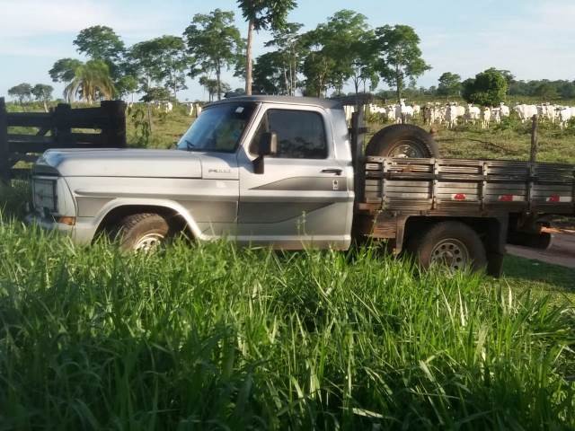 Agricultor tem caminhoneta F-1000 furtada em frente igreja em TNN. (Fotos)