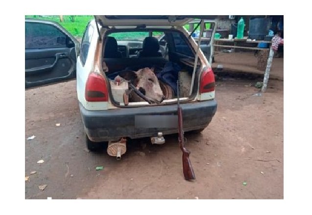 Dupla é presa depois de furtar gado em fazenda de senador de MT